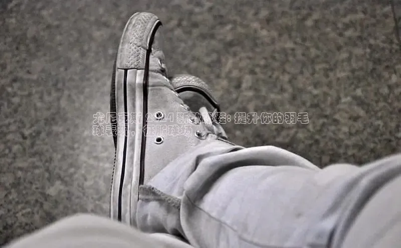 乐玩国际网址百度取证尤尼克斯 2024 新款球鞋: 提升你的羽毛
球表现，征服球场