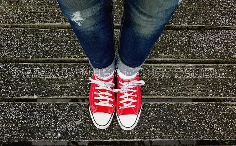 乐玩国际登录入口百度翻译App小香风运动鞋2025新款：重塑经典，潮流新纪元