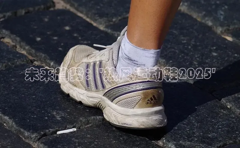 乐玩lewin官网手机版登录轻美电器未来趋势：\'热风运动鞋2025\'