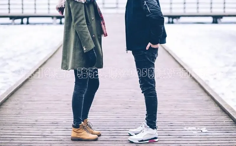 潮流引领者：骆驼男款2025新款运动鞋全面