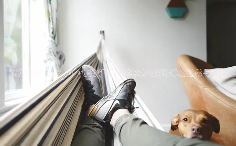 乐玩国际登录入口