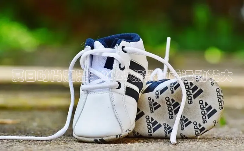 乐玩lewin官网入口