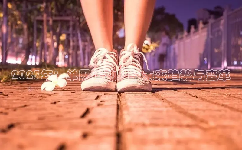 乐玩国际官方唯一入口网站