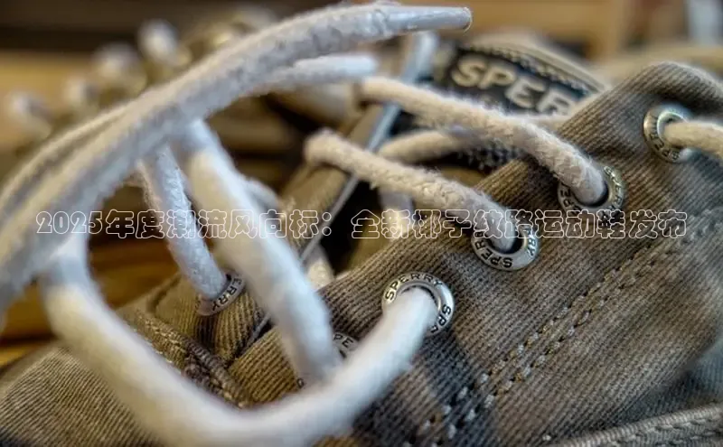 乐玩lewin官网手机版登录