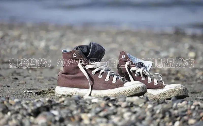 乐玩国际登录入口