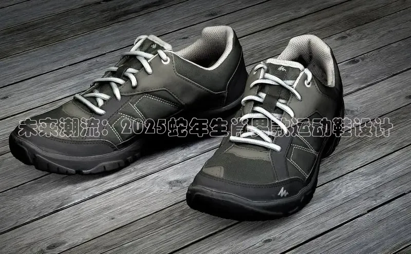 未来潮流：2025蛇年生肖男款运动鞋设计